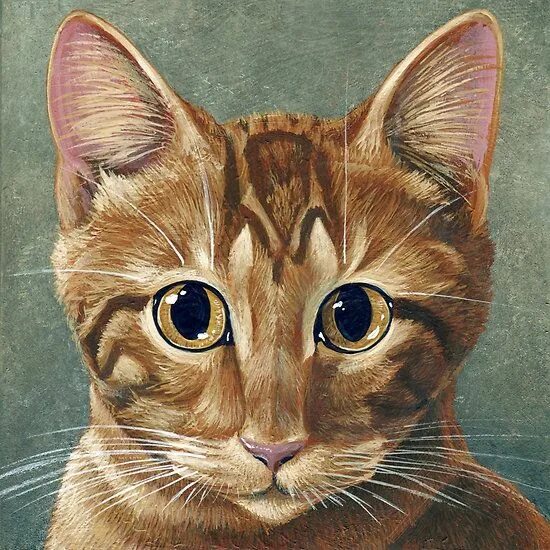 Портрет кота фото Orange Tabby Kitten, "Stormy" painting Animal portraits art, Tabby kitten orange