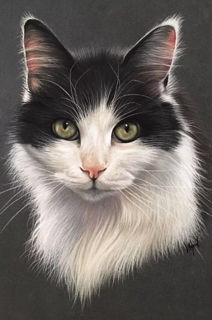 Портрет кота фото Pin by Heidi Planke on Pastel-Vorlagen Cat art painting, Cat portrait painting, 