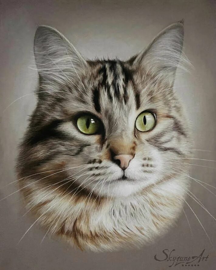 Портрет кота фото ❤ ❤ Incredible Cat Portrait by @skyzune_art ❤ ❤ --------------------------------