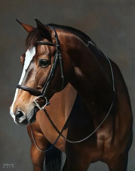 Портрет лошади фото Pin by Just Jacx on 1. It`s a Horse, of Course Horse painting, Horses, Horse art