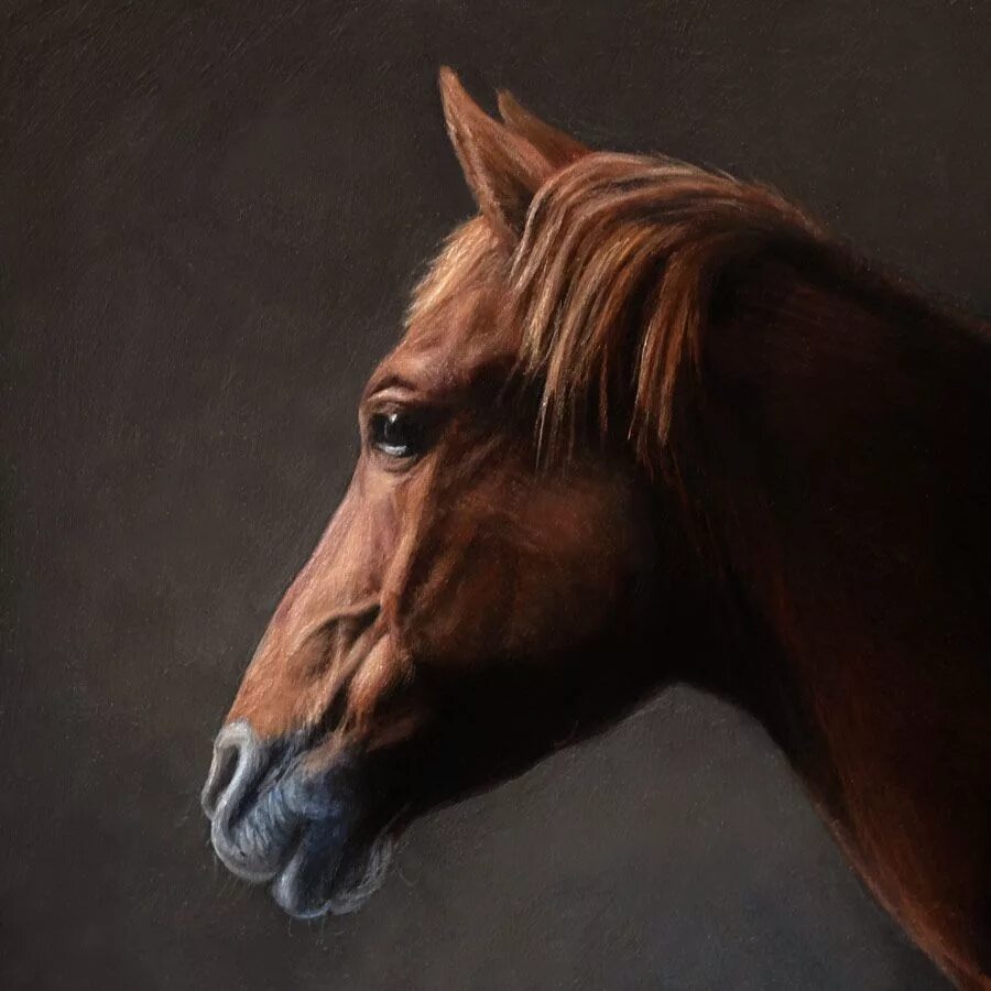 Портрет лошади фото The Monthly Miniatures Horse portrait, Portrait painting, Miniature painting