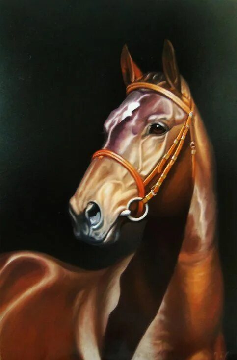 Портрет лошади фото Horse portrait - 1 (40x60cm, oil painting, ready to hang) (2020) Oil painting by