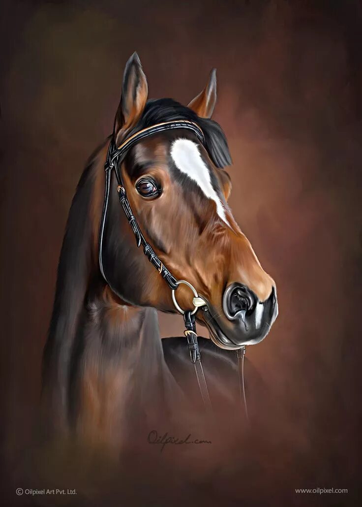 Портрет лошади фото Eye catching digital portrait painting for horse. Contact us for creating such a