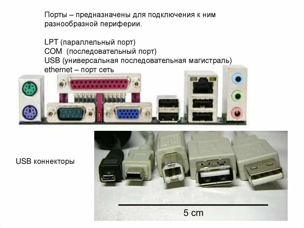 Порты для подключения устройств Системная плата персонального компьютера (motherboard - материнская плата), ее ф