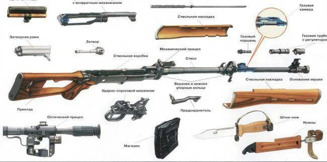 Порядок неполной разборки свд Снайперская винтовка Драгунова (СВД)