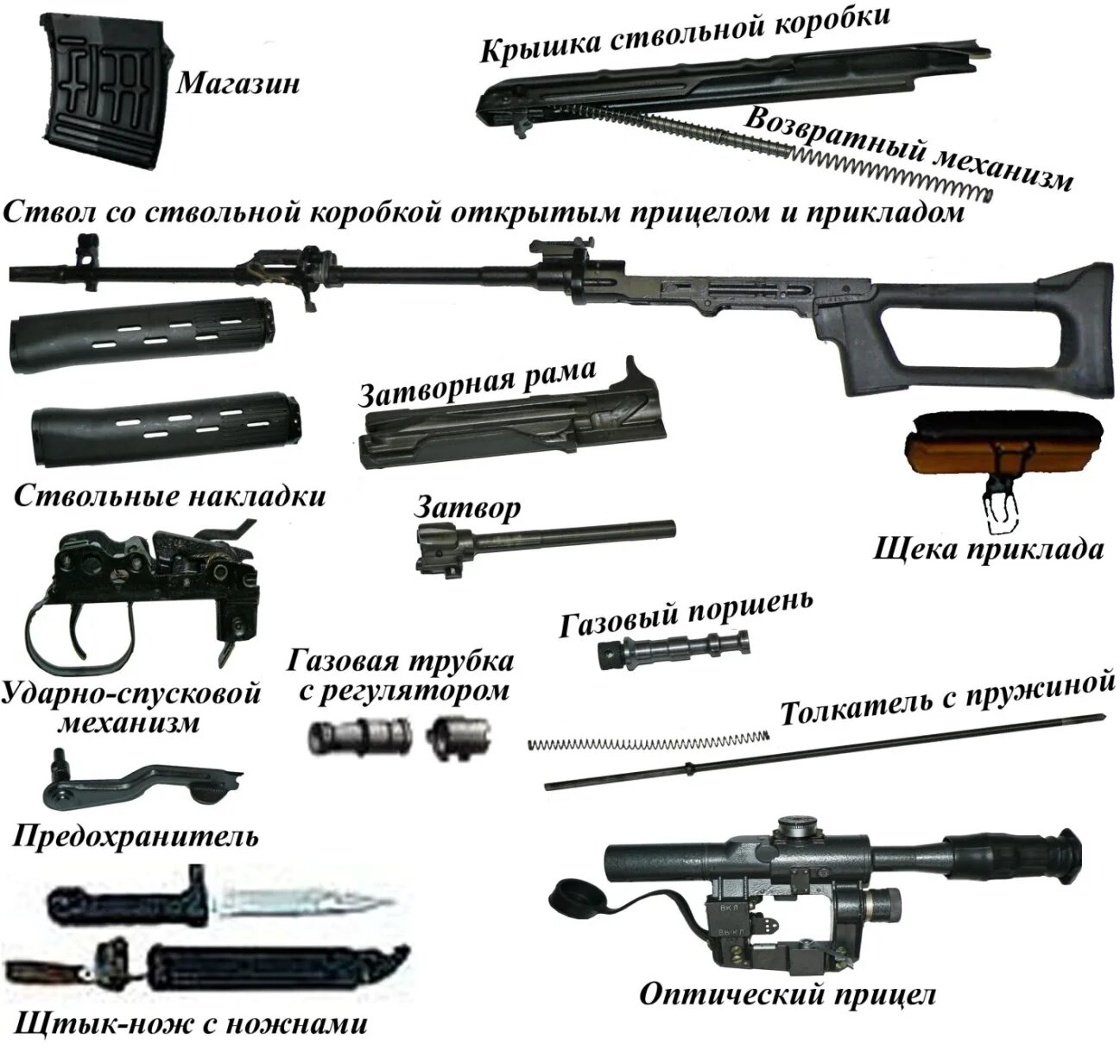 Порядок неполной разборки свд Самозарядная винтовка MR1 - гражданский вариант СВЧ