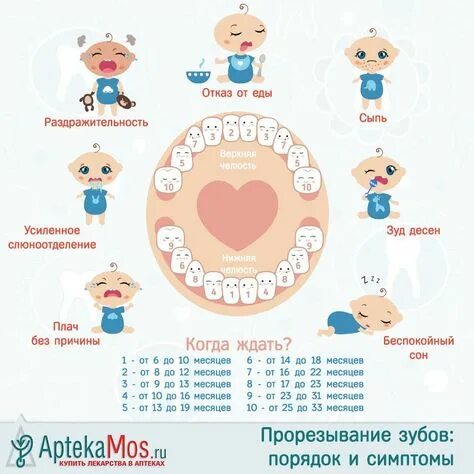 Порядок прорезывание зубов фото Идеи на тему "Советы" (140) в 2021 г детские советы, детские заметки, воспитание