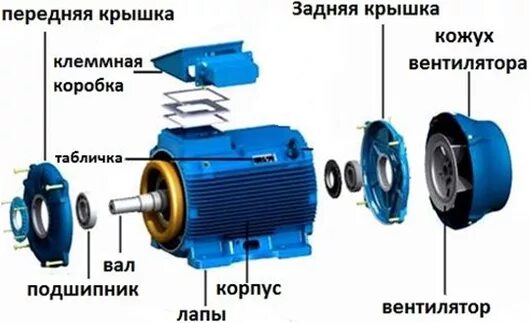 Порядок разборки электродвигателя электродвигатель - REM-ZONE.BY