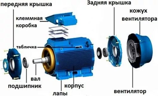 Порядок разборки электродвигателя при ремонте электродвигатель - REM-ZONE.BY