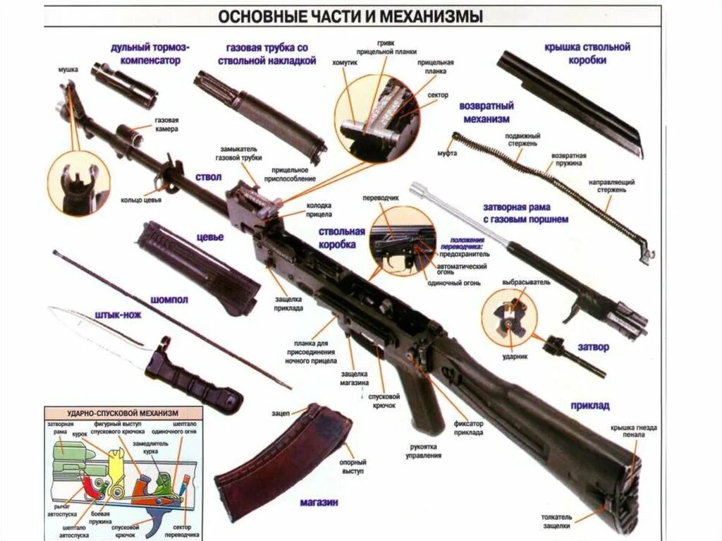 Порядок разборки и сборки стрелкового оружия Картинки ОРУЖЕЙНЫЕ ЧАСТИ