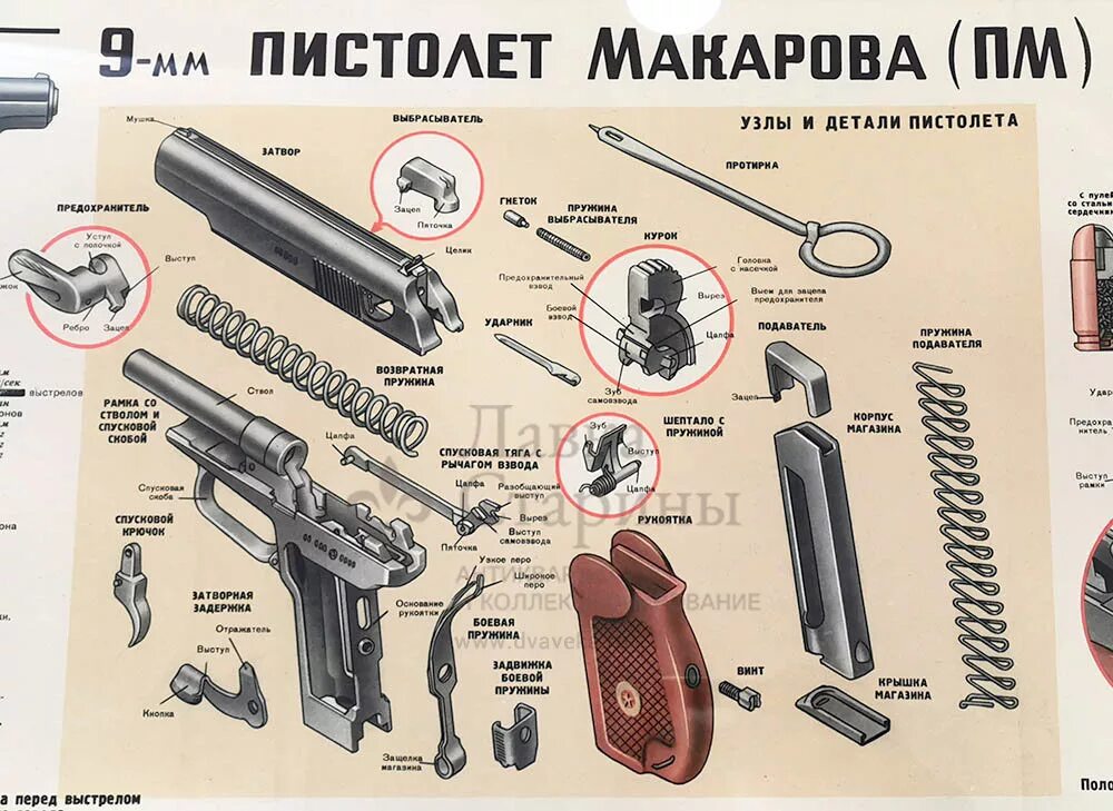 Порядок разборки пм макарова Купить учебный плакат Советской Армии "Пистолет Макарова 9 мм (ПМ)", художник Ва