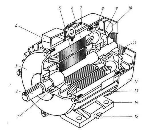 Порядок сборки асинхронного двигателя Ремонт однофазных электродвигателей в Санкт-Петербурге
