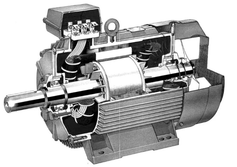 Порядок сборки асинхронного двигателя smoke USA Nerve abb squirrel cage induction motor I have an English class Van ga