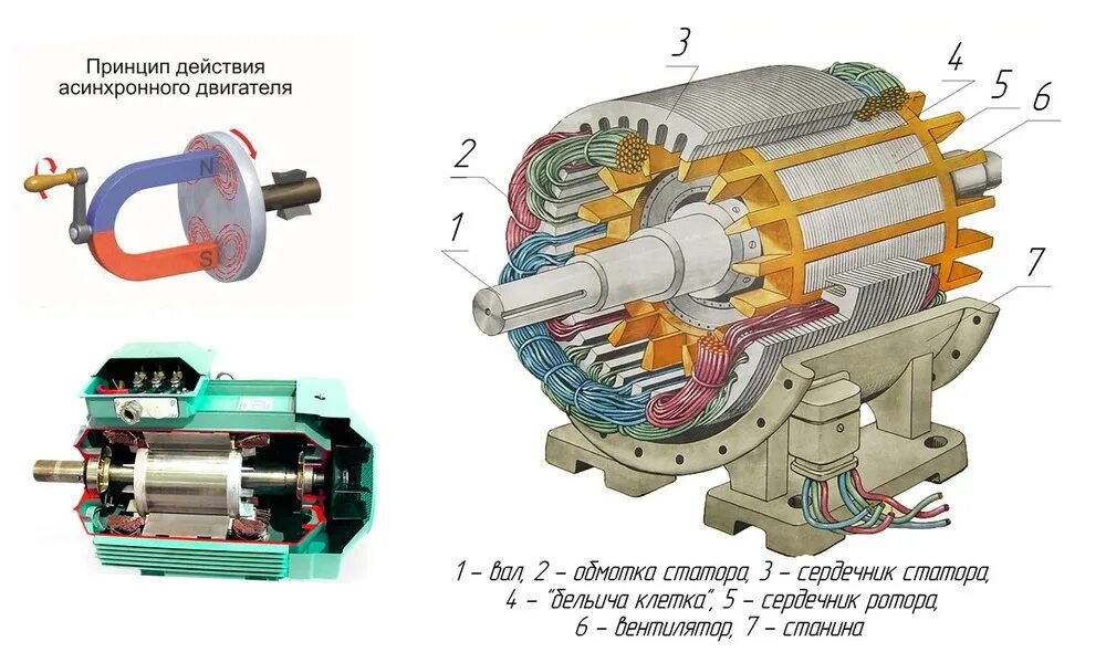 Порядок сборки асинхронного двигателя Однофазный асинхронный двигатель: характеристики, устройство и принцип работы ОО