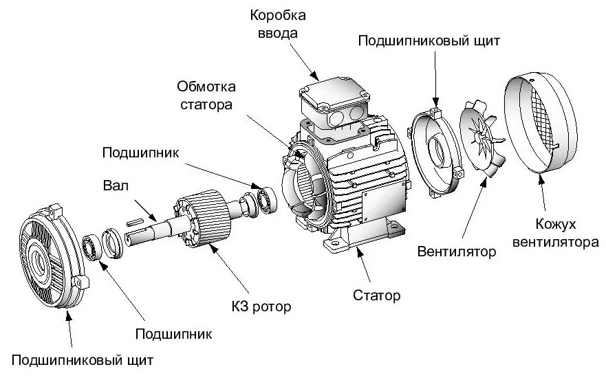 Порядок сборки асинхронного двигателя Общепромышленные асинхронные электродвигатели - Technogroup