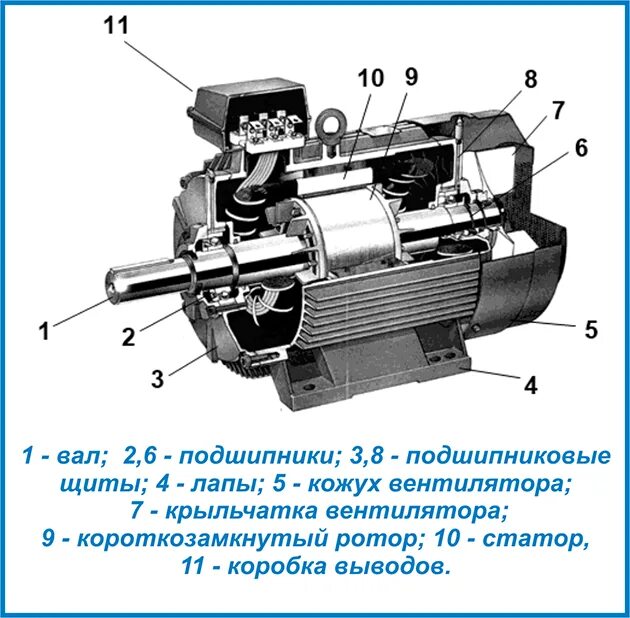 Порядок сборки асинхронного двигателя Электродвигатели общепромышленные - Электродвигатели