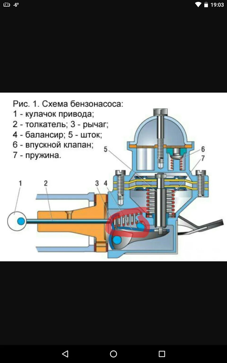 Порядок сборки бензонасоса Бензонасос - ЗАЗ 968, 1,2 л, 1984 года своими руками DRIVE2