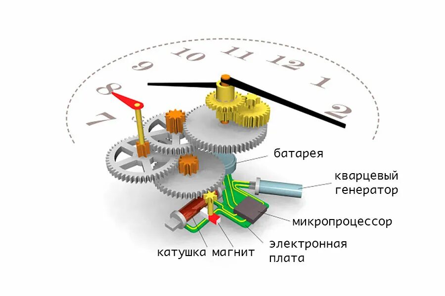 Порядок сборки часов Какие часы лучше: кварцевые или механические - чем отличается кварц от механики