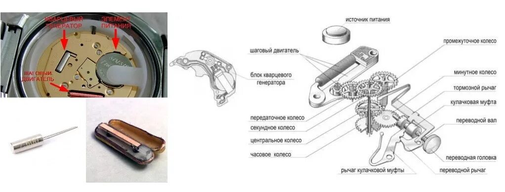 Порядок сборки часов Часовой механизм: устройство, принцип работы, виды и типы
