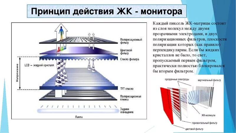 Порядок сборки экрана жк телевизора Ответы Mail.ru: Жидкий кристалл обеспечивает работу ЖК-монитора за счет