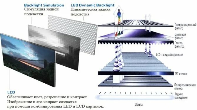 Порядок сборки экрана жк телевизора Разборка и ремонт ЖК телевизора Samsung LE40A454C1