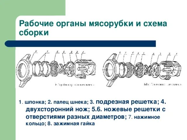 Порядок сборки мясорубки для крупного измельчения Машины для обработки мяса и рыбы" по учебной дисциплине ОП.03 Техническое оснаще