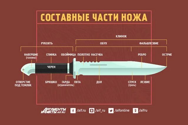 Порядок сборки ножей Из чего состоит нож? Аргументы и Факты