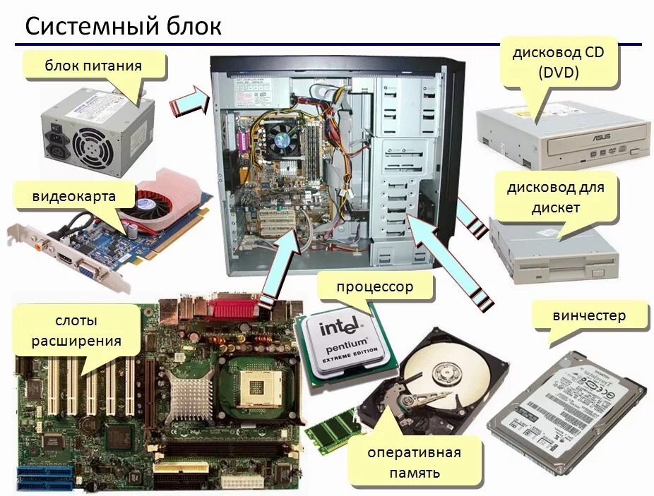 Порядок сборки персонального компьютера Основные компоненты системного блока фото - Сервис Левша