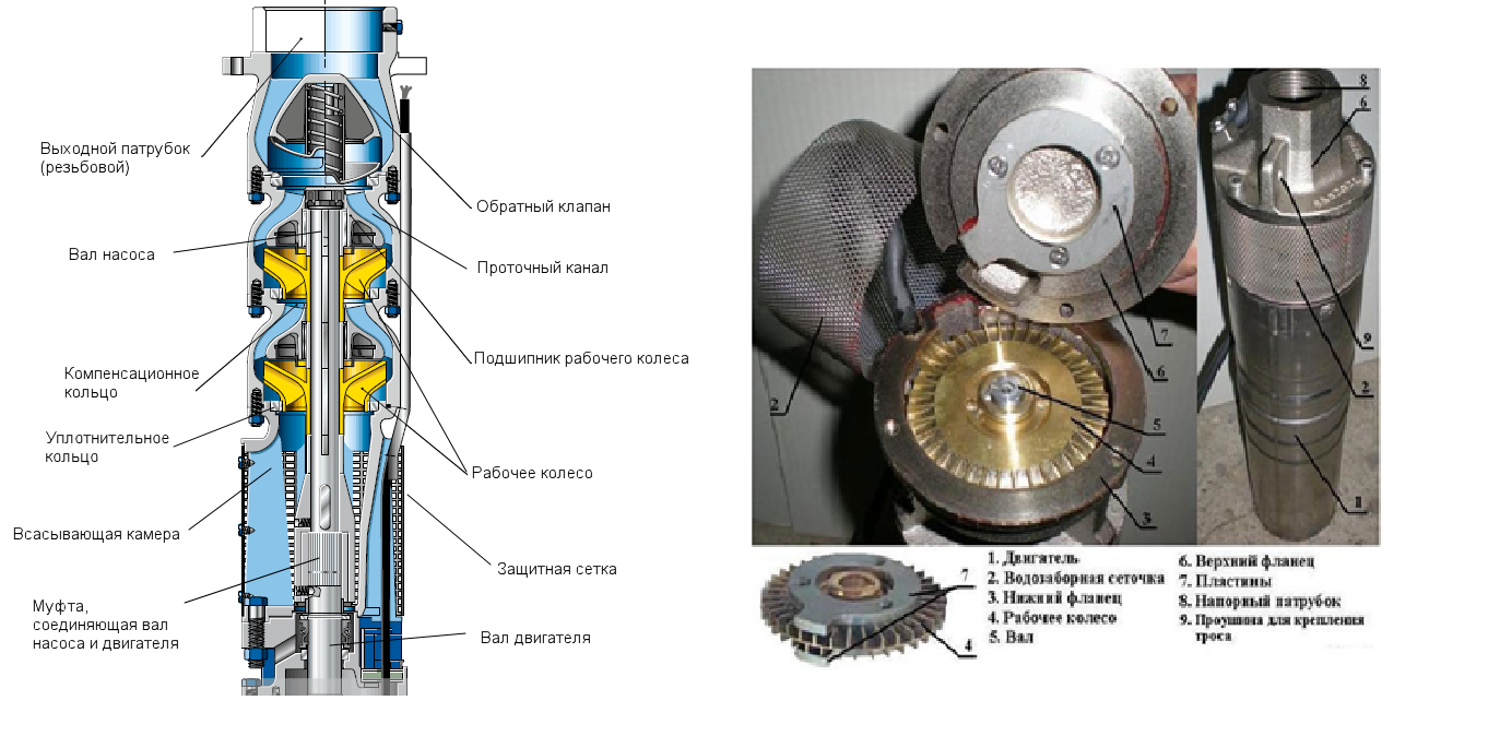 Порядок сборки скважинного насоса вихрь сн 60 Как правильно выбрать насос для скважины - Блог интернет-магазина Dfogorod.ru