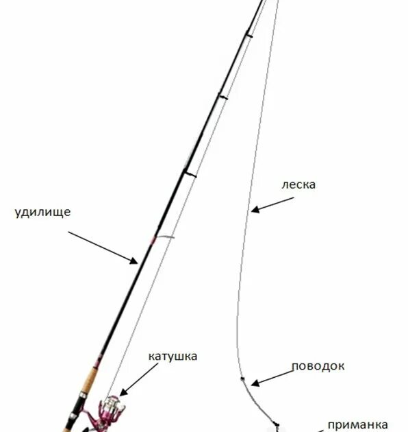 Порядок сборки спиннинга Основы спининговой ловли для начинаюших рыбаков. Все о Рыбалке Дзен