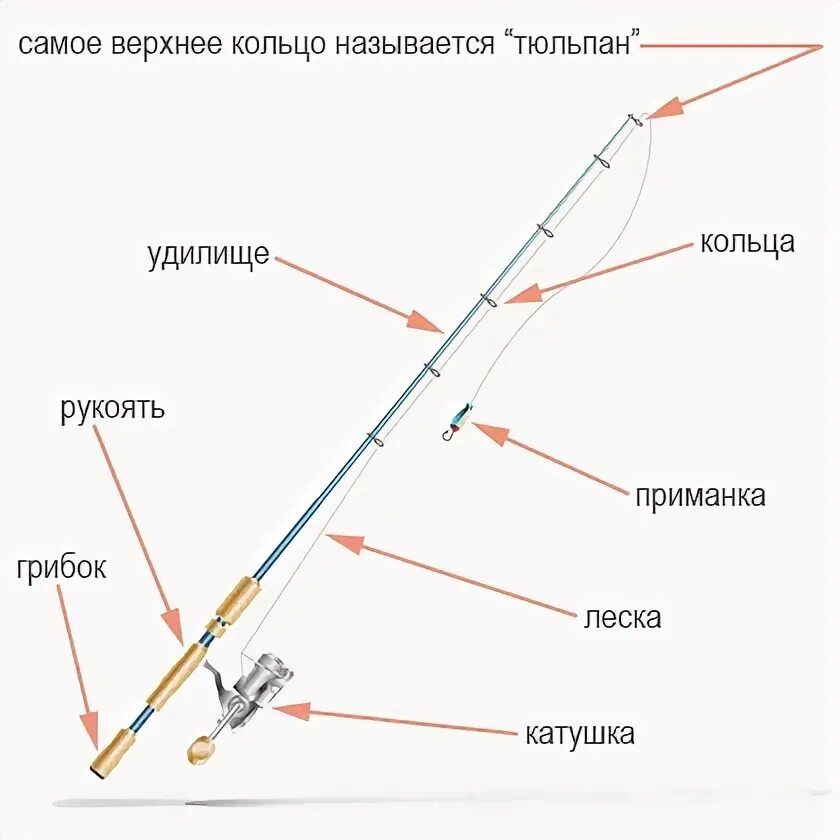 Порядок сборки спиннинга поэтапно Как выбрать спиннинг новичку Спиннинг, Самодельные рыболовные приманки, Рыбалка