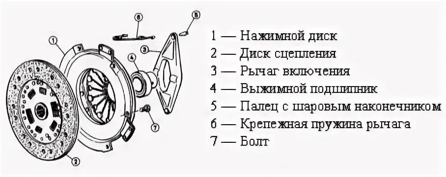 Порядок сборки сцепления Сцепление: как работает и что это такое? Юниверсал Моторс Дзен