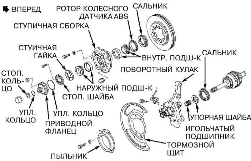 Порядок сборки ступицы Инфинити QX4 1996-2002, бензин: Снятие и установка ступичной сборки и поворотног