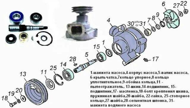 Порядок сборки водяного насоса Токарь + агрегатчик. Ремонт: Помп, Карданов и т. д. ремонт ходовой част, легковы