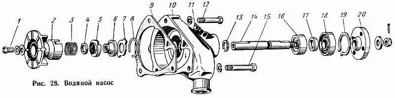 Порядок сборки водяного насоса волга газ 21 Водяной насос ГАЗ-52-01 (Чертеж № 37: список деталей, стоимость запчастей)
