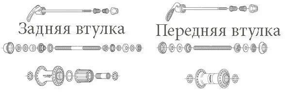 Порядок сборки заднего колеса велосипеда Как разобрать и произвести ремонт задней и передней втулки велосипеда