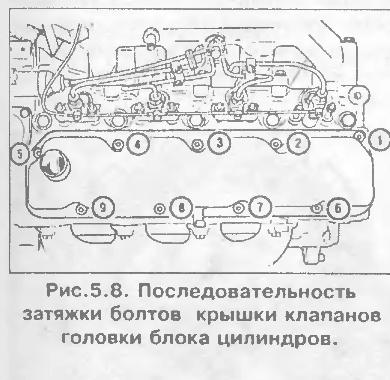 Порядок затяжки болтов клапанной крышки акцент Жрёт масло!!! - Страница 3 - Форум Форд Транзит