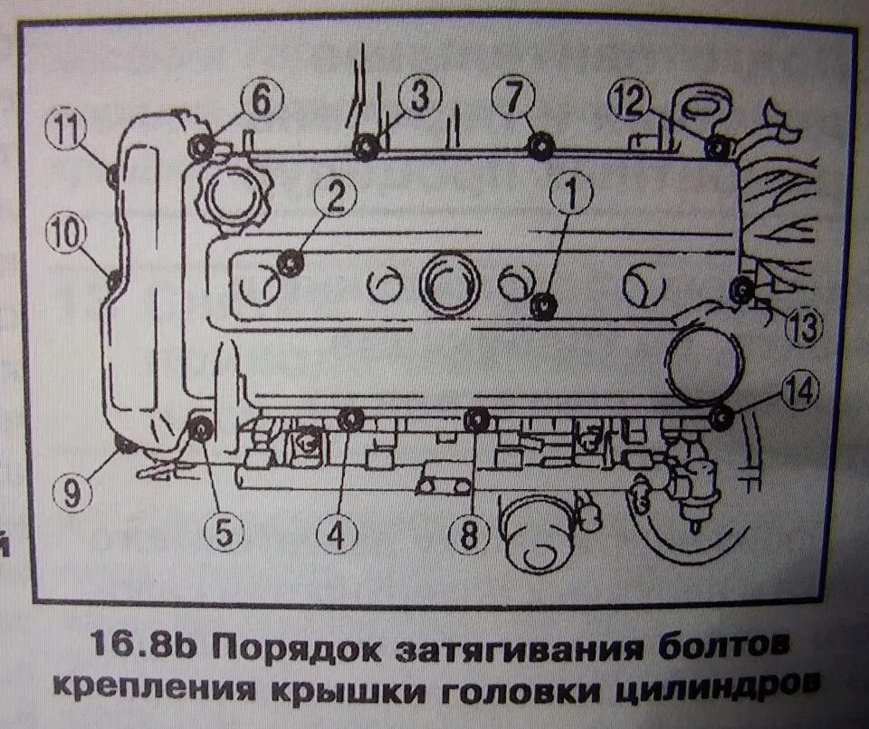 Порядок затяжки болтов клапанной крышки м57 130. Устранение течи из под клапанной крышки. - Mazda 6 (1G) GG, 6 л, 2007 года 