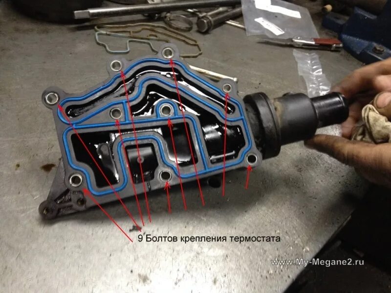 Порядок затяжки термостата меган 2 Курилка АвтоФорума. (часть 8) - Страница 40 - обсуждение на форуме НГС Новосибир