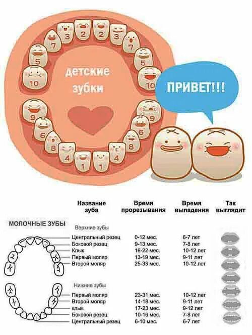 Когда у ребенка лезут зубы какие симптомы