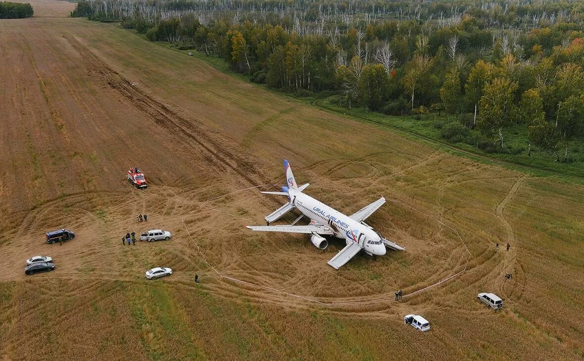 Посадили самолет фото Пассажирам севшего в поле самолета Airbus выплатили свыше ₽ 15 млн - РБК