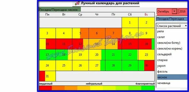 Посадить чеснок осенью по лунному календарю Когда сажать чеснок под зиму в 2016 году по Лунному календарю?