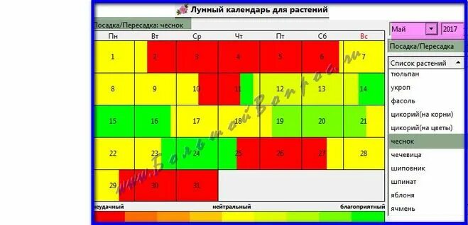 Посадить чеснок осенью по лунному календарю Уборка чеснока благоприятные дни по лунному календарю: найдено 85 изображений