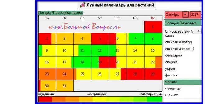 Посадить чеснок осенью по лунному календарю 2024 Когда сажать чеснок под зиму в 2017 году по лунному календарю?