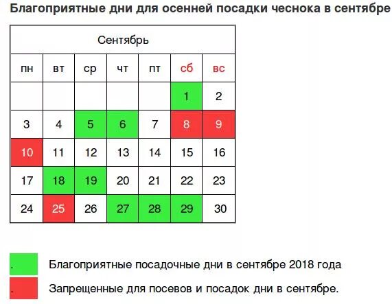 Посадить чеснок осенью по лунному календарю Календарь посадки озимого чеснока в 2024 году - TouristMaps.ru