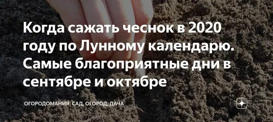 Посадить чеснок по лунному календарю в 2024 Посадка озимого чеснока в октябре благоприятные дни: найдено 90 изображений