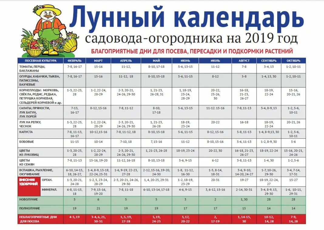 Посадить чеснок по лунному календарю в 2024 Лунный посевной календарь садовода и огородника на 2019 год - АГРАРИЙ