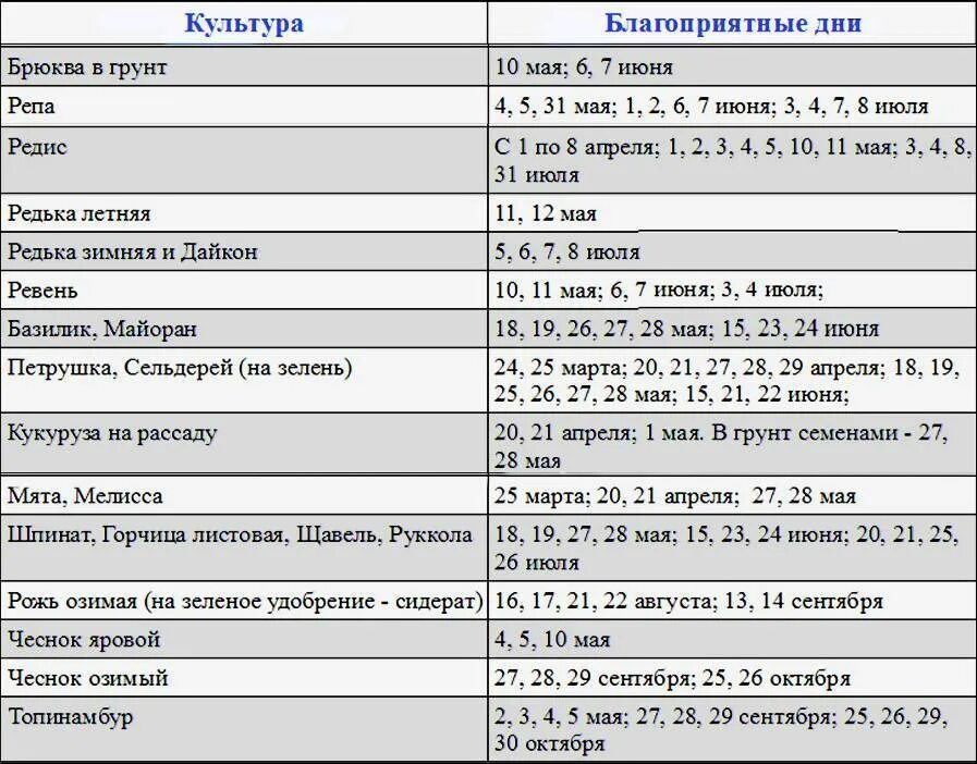 Сажать чеснок по лунному