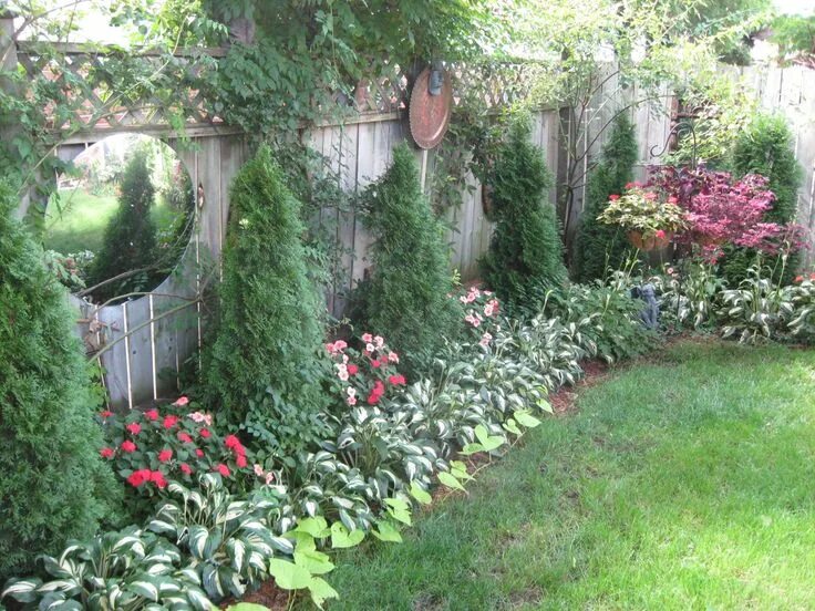 Посадить вдоль забора фото Backyard Backyard garden landscape, Backyard landscaping designs, Garden design