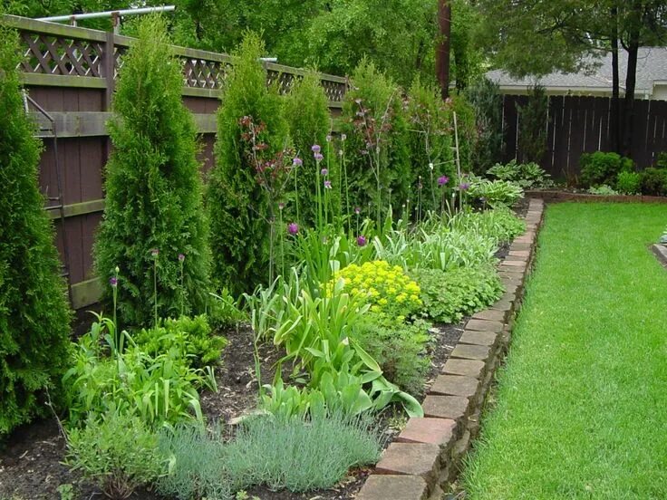 Посадить вдоль забора фото Картинки по запросу что посадить около туи Landscaping along fence, Fence landsc